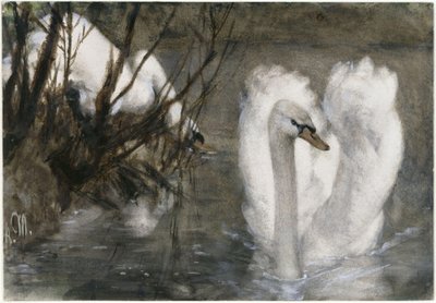 Os dois cisnes. Do «Álbum infantil» de Adolph Menzel