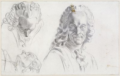 Estudo de Voltaire de Adolph Menzel