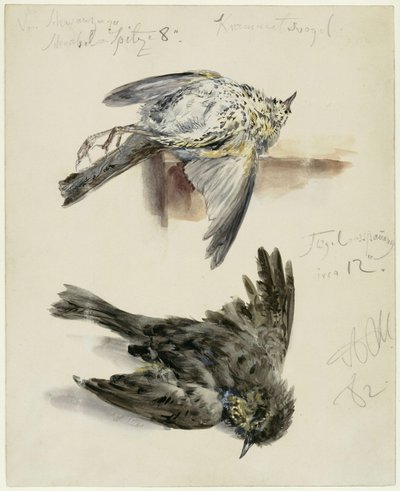  de Adolph Menzel
