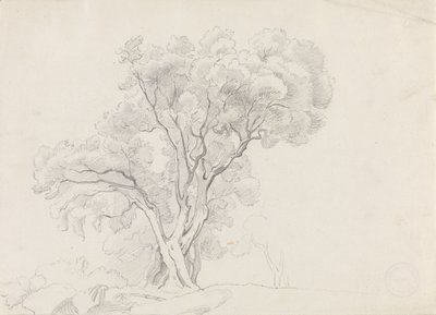 Árvores de folha caduca de Adolph Tidemand