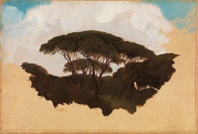 Estudo dos pinheiros-mansos de Adolph Tidemand