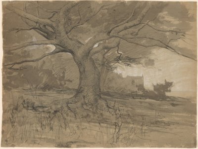 Uma grande faia na borda de uma floresta de Adolphe Appian