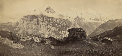 [Paisagem alpina] de Adolphe Braun