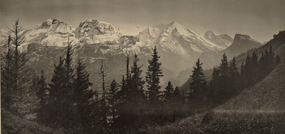[Paisagem alpina] de Adolphe Braun