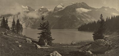 [Paisagem alpina] de Adolphe Braun