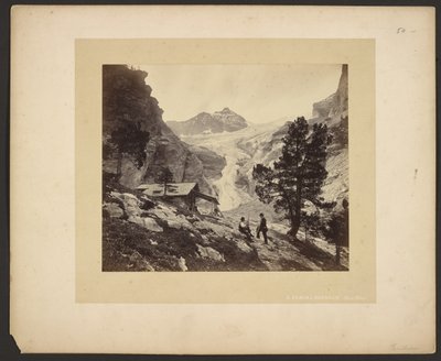 [Vista alpina do Faulhorn] de Adolphe Braun