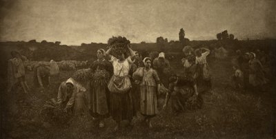 Chamar os respigadores de Adolphe Braun