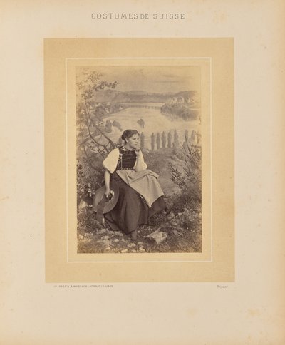 Cantão de Schaffhausen de Adolphe Braun