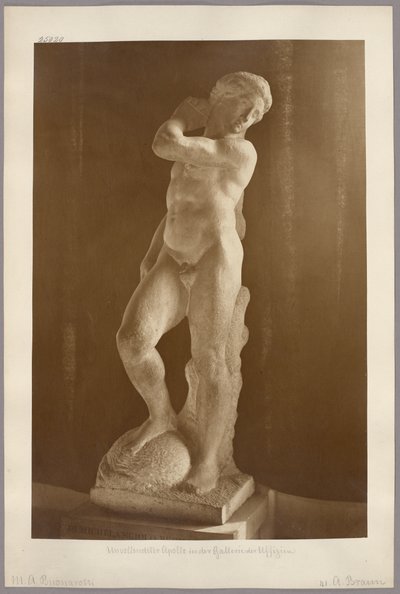 Florença: O «Apolo» inacabado de Miguel Ângelo na Galeria dos Uffizi de Adolphe Braun
