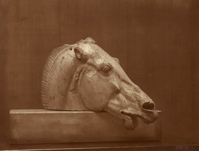 [Cabeça de cavalo do frontão do Partenon, Museu Britânico] de Adolphe Braun
