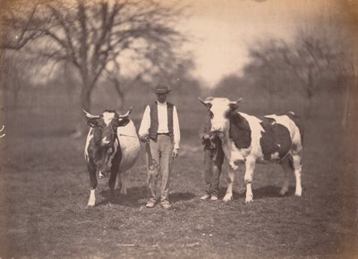 Paisagem,c. 1864 (foto) de Adolphe Braun