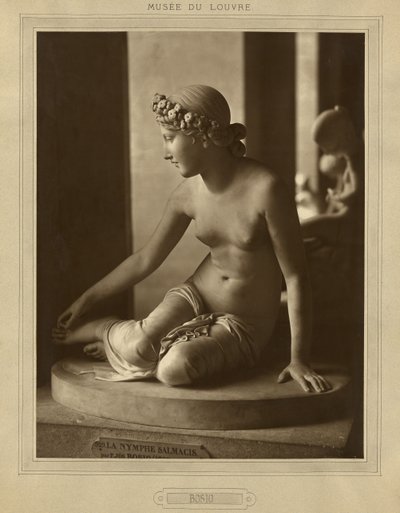Museu do Louvre, Bosio de Adolphe Braun