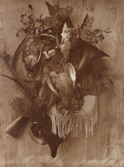 Faisão e Grouse, c. 1865. de Adolphe Braun