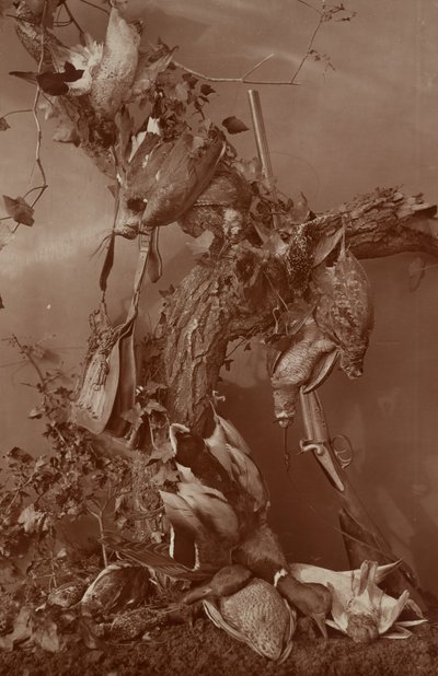 [Still Life: Jogo morto] de Adolphe Braun