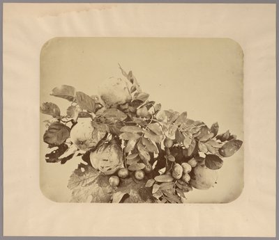 Natureza morta com marmelos e bagas de Adolphe Braun