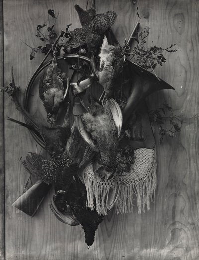 Troféu da Caça, c. 1867 de Adolphe Braun