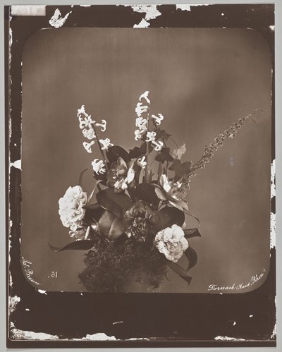 Sem título (arranjo de flores) de Adolphe Braun