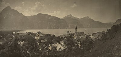 Vista de Flüelen, Suíça de Adolphe Braun