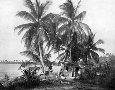 Na estrada para Blue Hole, Port Antonio, Jamaica, c1905. de Adolphe Duperly and Son