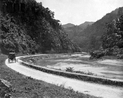 Estrada para Bog Walk, Jamaica, c1905. de Adolphe Duperly and Son
