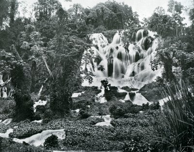 Roaring River Falls, Jamaica, c1905. de Adolphe Duperly and Son