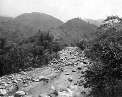 O rio Wag, Castleton, Jamaica, c1905. de Adolphe Duperly and Son