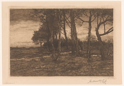 paisagem com árvores Noite (título no objeto) de Adolphe P.H J. van Weezel Errens (signed by artist)