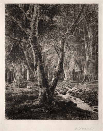 Floresta de Pierrefonds de Adolphe Théodore Jules Martial Potémont