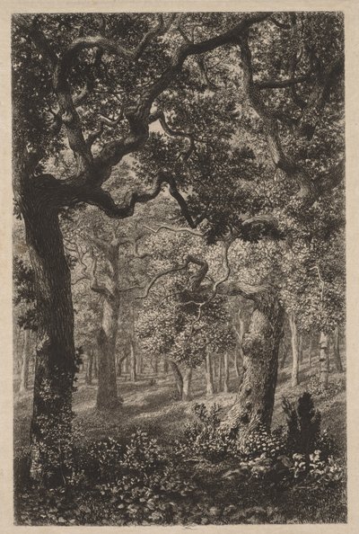 Na floresta de Adolphe Théodore Jules Martial Potémont