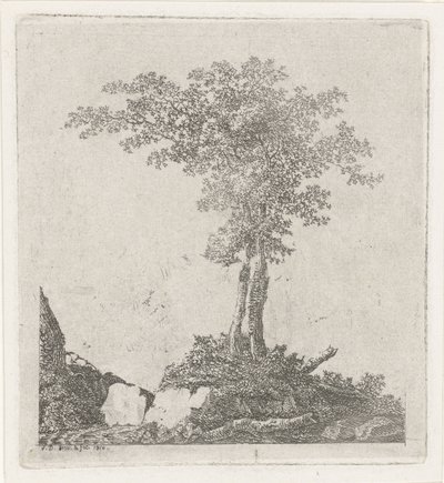 Duas árvores de Adriaan Jacob Willem van Dielen