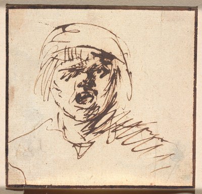 Cabeça de um gambá gritando de Adriaen Brouwer