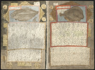 O Visboeck de Adriaen Coenen de Adriaen Coenen
