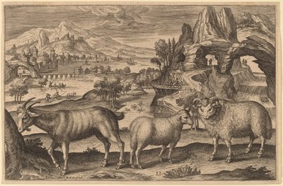 Uma cabra, uma ovelha e um carneiro de Adriaen Collaert