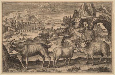 Uma cabra, uma ovelha e um carneiro de Adriaen Collaert