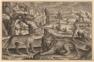 Um leopardo e dois leões de Adriaen Collaert
