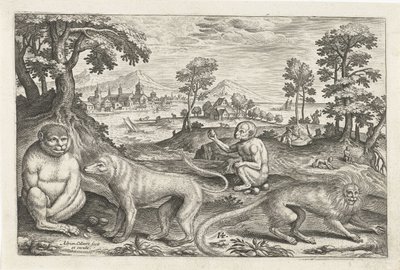 Apen
Vierpotige dieren (título da série)
Animalivm Qvaddrvpedvm (título da série) de Adriaen Collaert