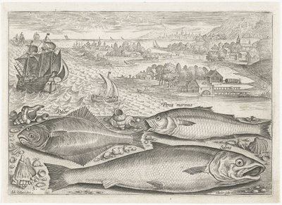 Três peixes na praia
Peixe (título da série)
Piscivm vivae icones (título da série) de Adriaen Collaert