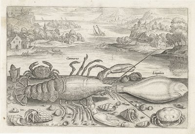 Um peixe e alguns crustáceos na praia Pesca (título da série) Piscivm vivae icons (título da série) de Adriaen Collaert
