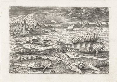 Alguns peixes e uma morsa na praia
Peixe (título da série)
Piscivm vivae icones (título da série) de Adriaen Collaert