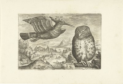 Algumas aves numa paisagem
Pássaros (título da série)
Avivm vivae (título da série) de Adriaen Collaert