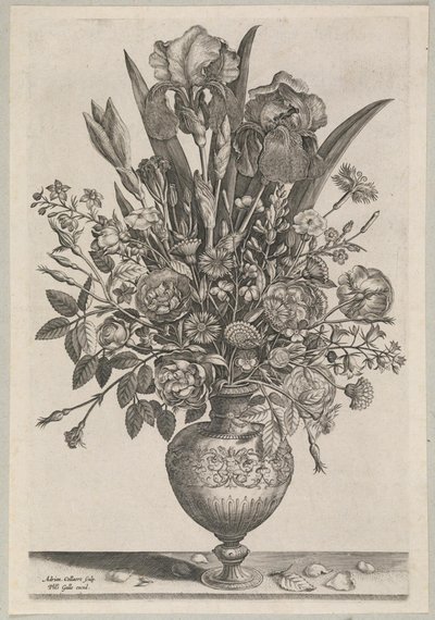 Peça de flor com íris de Adriaen Collaert