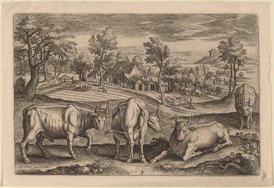 Quatro touros de Adriaen Collaert