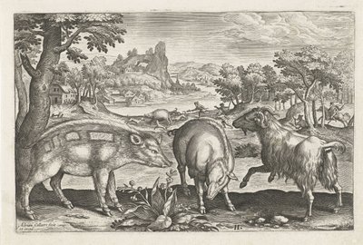 Caprinos e suínos
Animais de quatro patas (título da série)
Animalivm Qvaddrvpedvm (título da série) de Adriaen Collaert