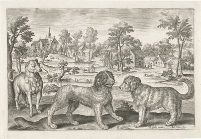 cães Animais de quatro patas (título da série) Animalivm Qvaddrvpedvm (título da série) de Adriaen Collaert