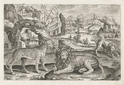 Leões e Leopardo Animais de quatro patas (título da série) Animalivm Qvaddrvpedvm (título da série) de Adriaen Collaert