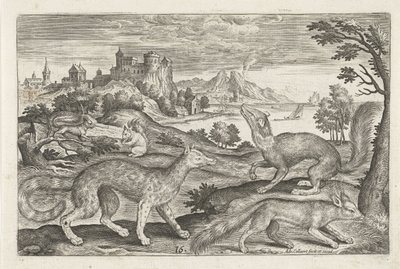 Martelos, esquilos e uma raposa
Animais de quatro patas (título da série)
Animalivm Qvaddrvpedvm (título da série) de Adriaen Collaert