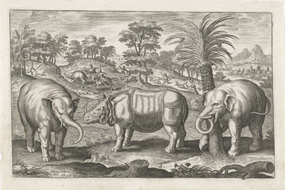 Elefantes e rinoceronte
Animais de quatro patas (título da série)
Animalivm Qvaddrvpedvm (título da série) de Adriaen Collaert
