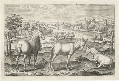 Cavalo e burros Animais de quatro patas (título da série) Animalivm Qvaddrvpedvm (título da série) de Adriaen Collaert