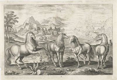 Cavalos Animais de quatro patas (título da série) Animalivm Qvaddrvpedvm (título da série) de Adriaen Collaert