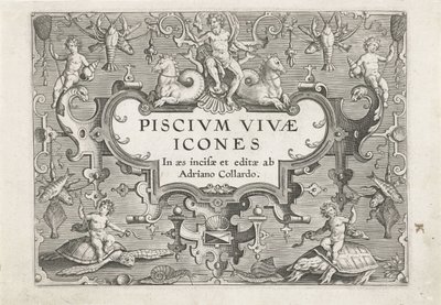 Estampa de título com criaturas do mar como ornamentos
Peixe (título da série)
Piscivm vivae icones (título da série) de Adriaen Collaert